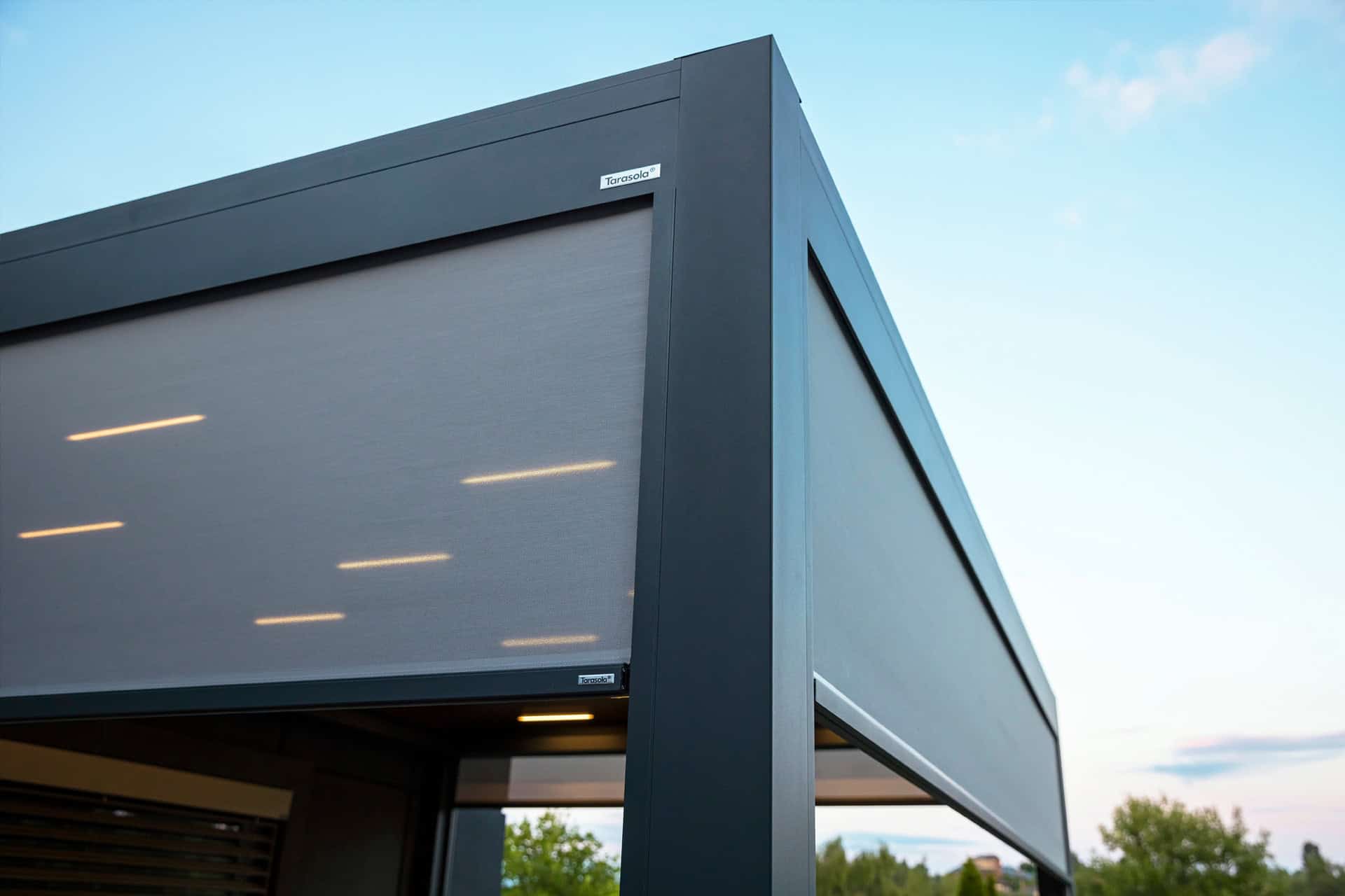 Technic pro web 99 TARASOLA